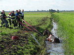 Prio 2 Dier te Water Paard Dykhuzen Gerkesklooster